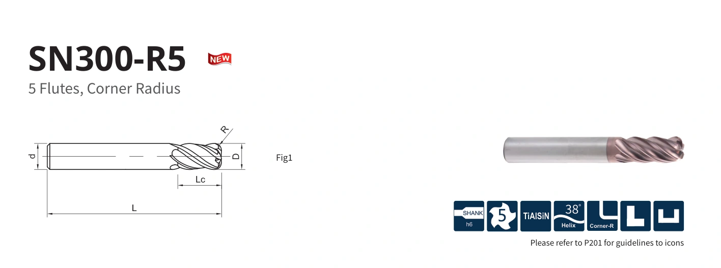 Esquema original aplicable a SN300-R5-10025