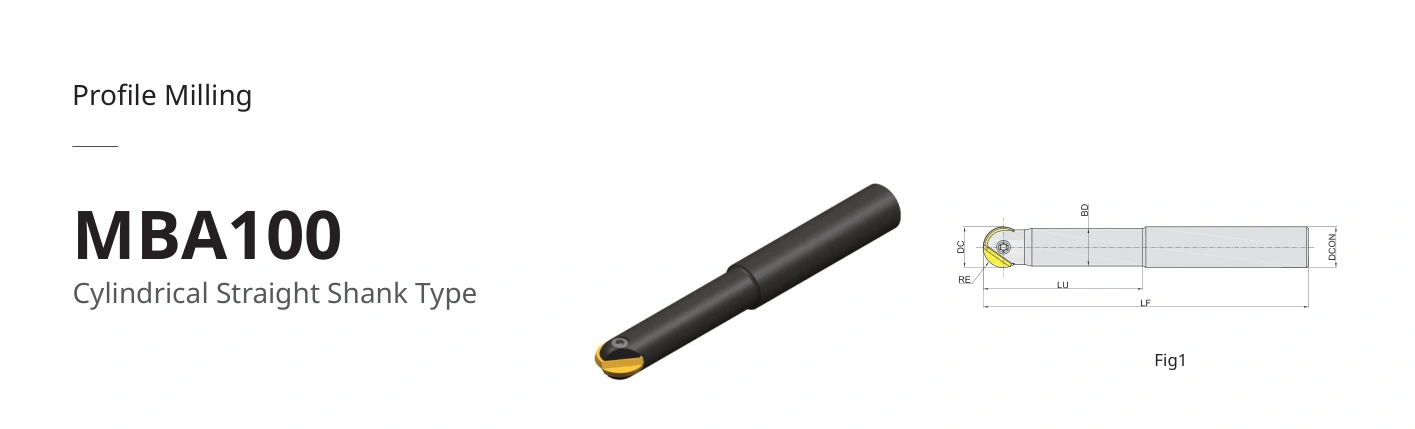 Esquema original aplicable a MBA100-020R01P20-QT20L