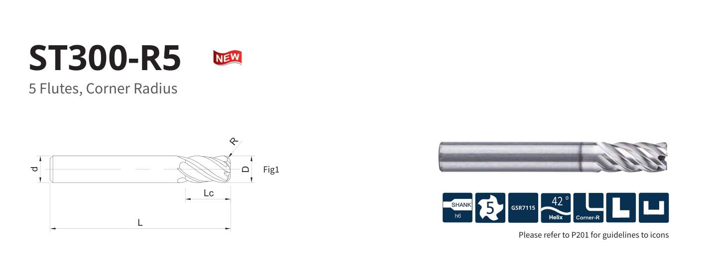 Esquema original aplicable a ST300-R5-06010