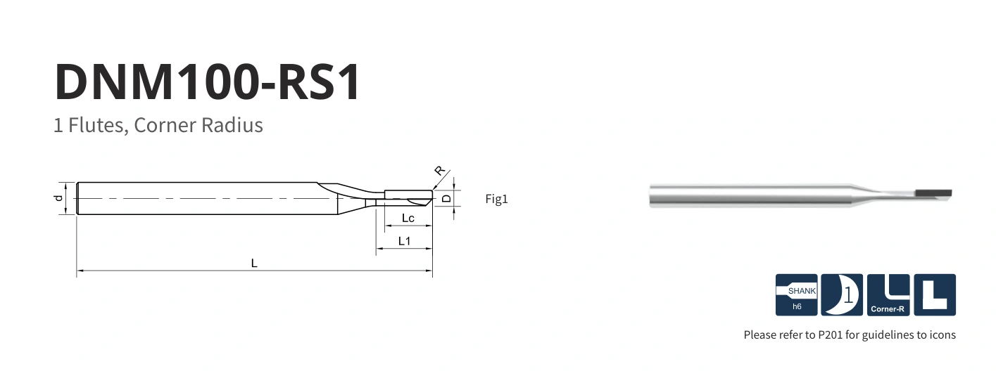 Esquema original aplicable a DNM100-RS1-02002