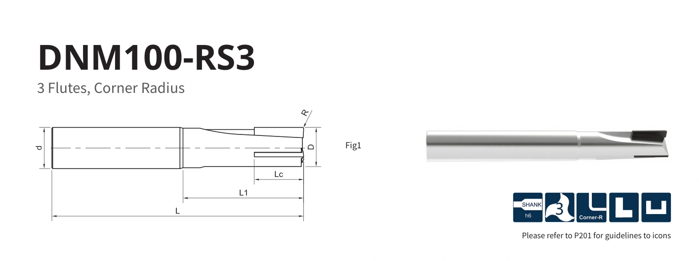 Esquema original aplicable a DNM100-RS3-16005