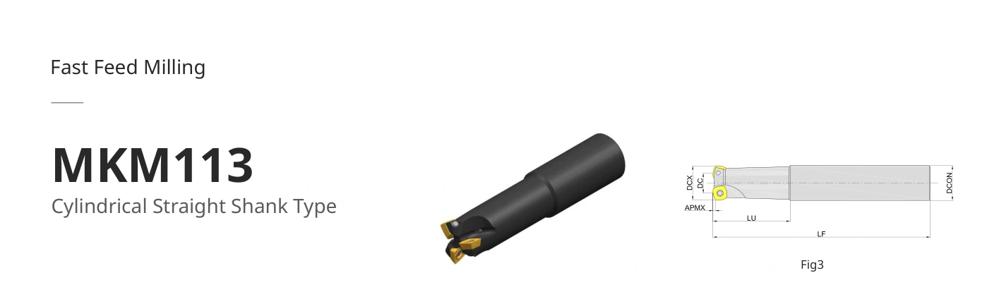 Esquema original aplicable a MKM113-025R03P25-SD09