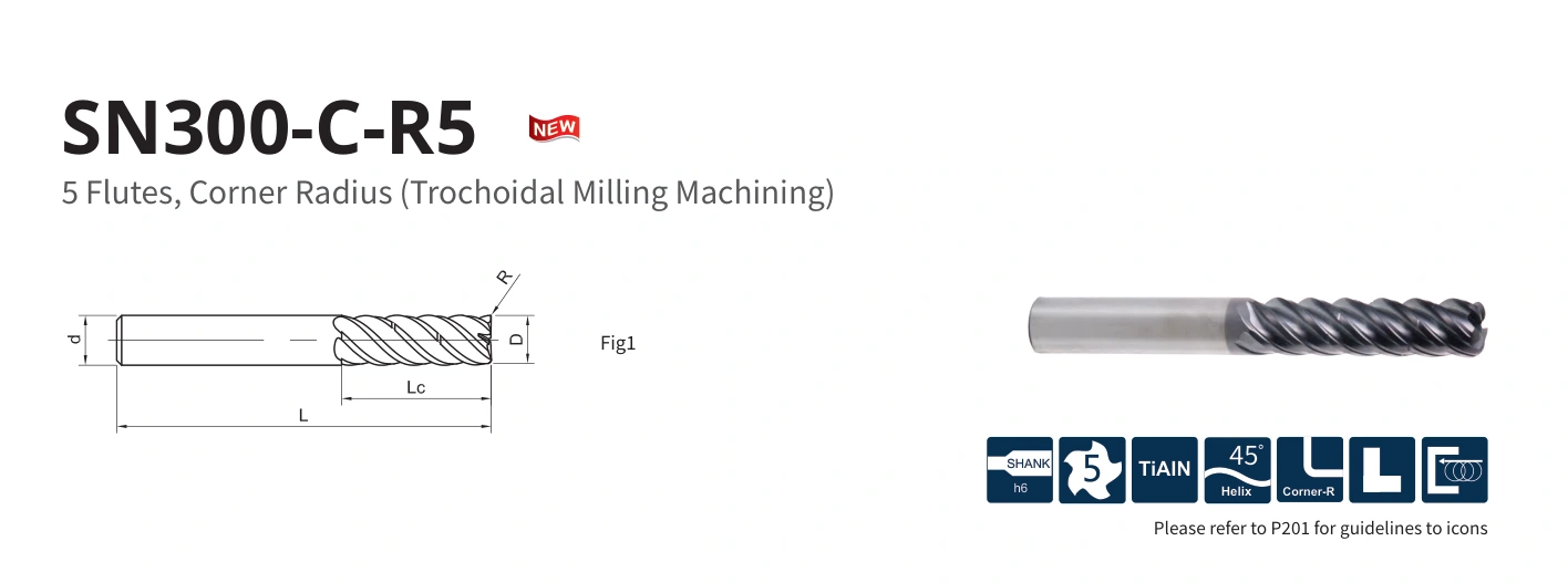 Esquema original aplicable a SN300-C-R5-10010