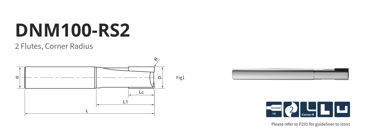 Esquema original aplicable a DNM100-RS2-10005
