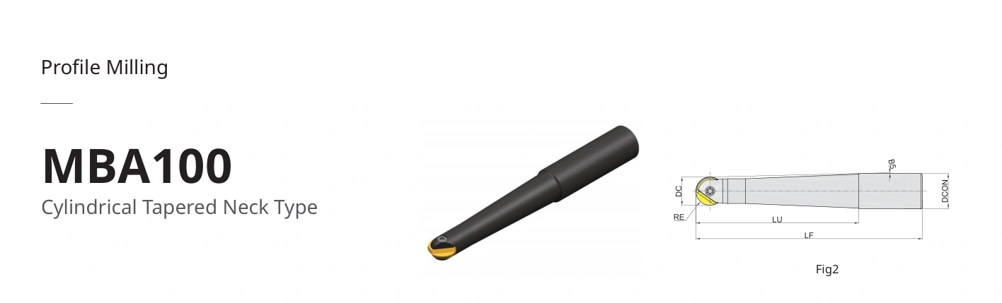 Esquema original aplicable a MBA100-016R01P20T-QT16L