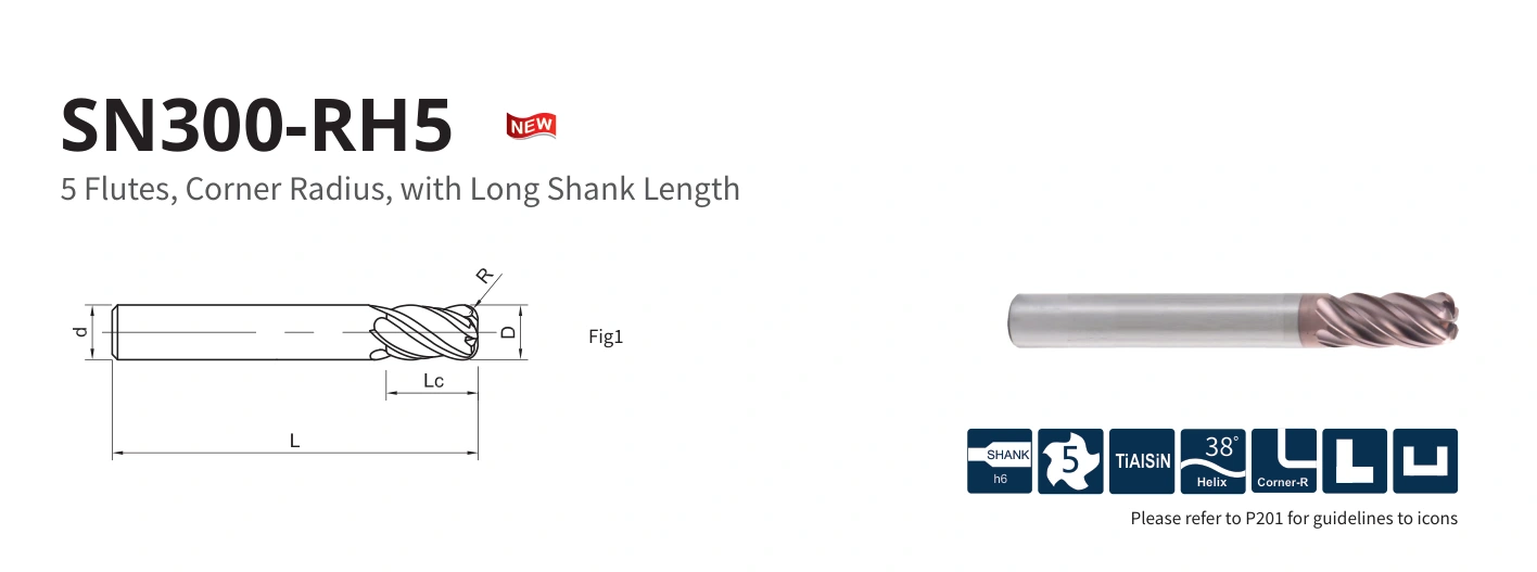 Esquema original aplicable a SN300-RH5-08020