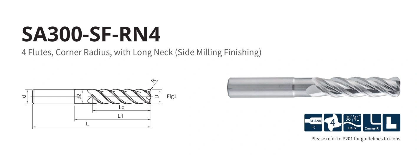 Esquema original aplicable a SA300-SF-RN4-16020